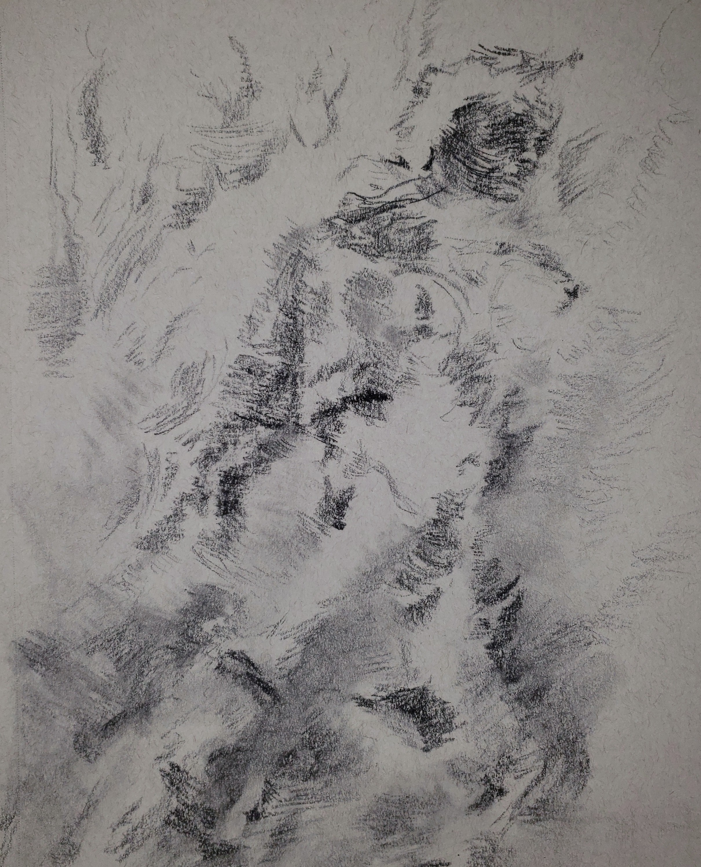 Artwork 15